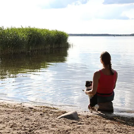 Ahorn Göhren-Lebbin