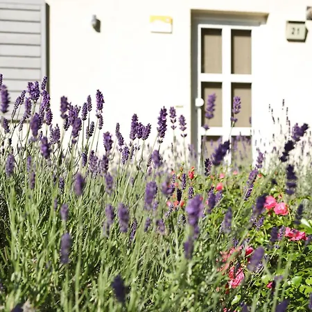 Vakantiehuis Ahorn *